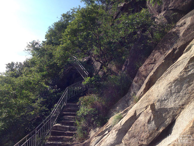 老虎溝生態(tài)農場-拓展訓練的獨特之處在哪里