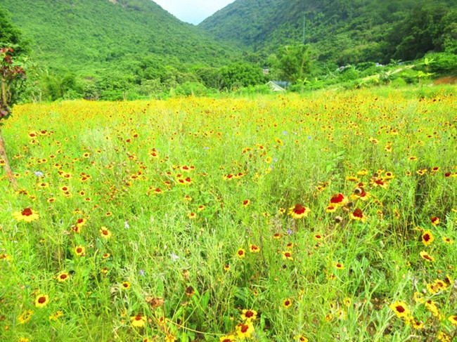 深圳農(nóng)家樂一日游強烈推薦老虎溝生態(tài)農(nóng)場