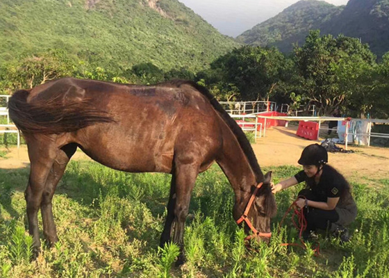 深圳市老虎溝農家樂野炊攻略大全