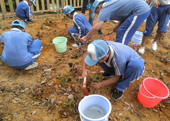 一年一度的植樹(shù)節(jié)就快來(lái)到，帶上小孩到老虎溝生態(tài)農(nóng)場(chǎng)體驗(yàn)農(nóng)耕樂(lè)趣吧！