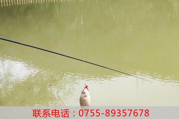 ?深圳農家樂旅游攻略.老虎溝生態農場