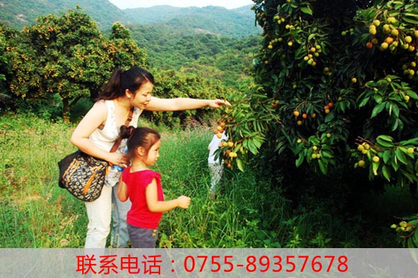 深圳農(nóng)家樂采摘能夠啟蒙教育孩子的勞動觀念