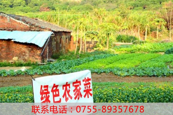 深圳周邊旅游_農家樂推薦-深耕農家樂需下功夫