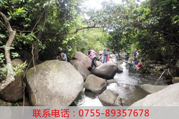 深圳周邊游_園山風(fēng)景區(qū)爬山游記老虎溝生態(tài)農(nóng)場(chǎng)